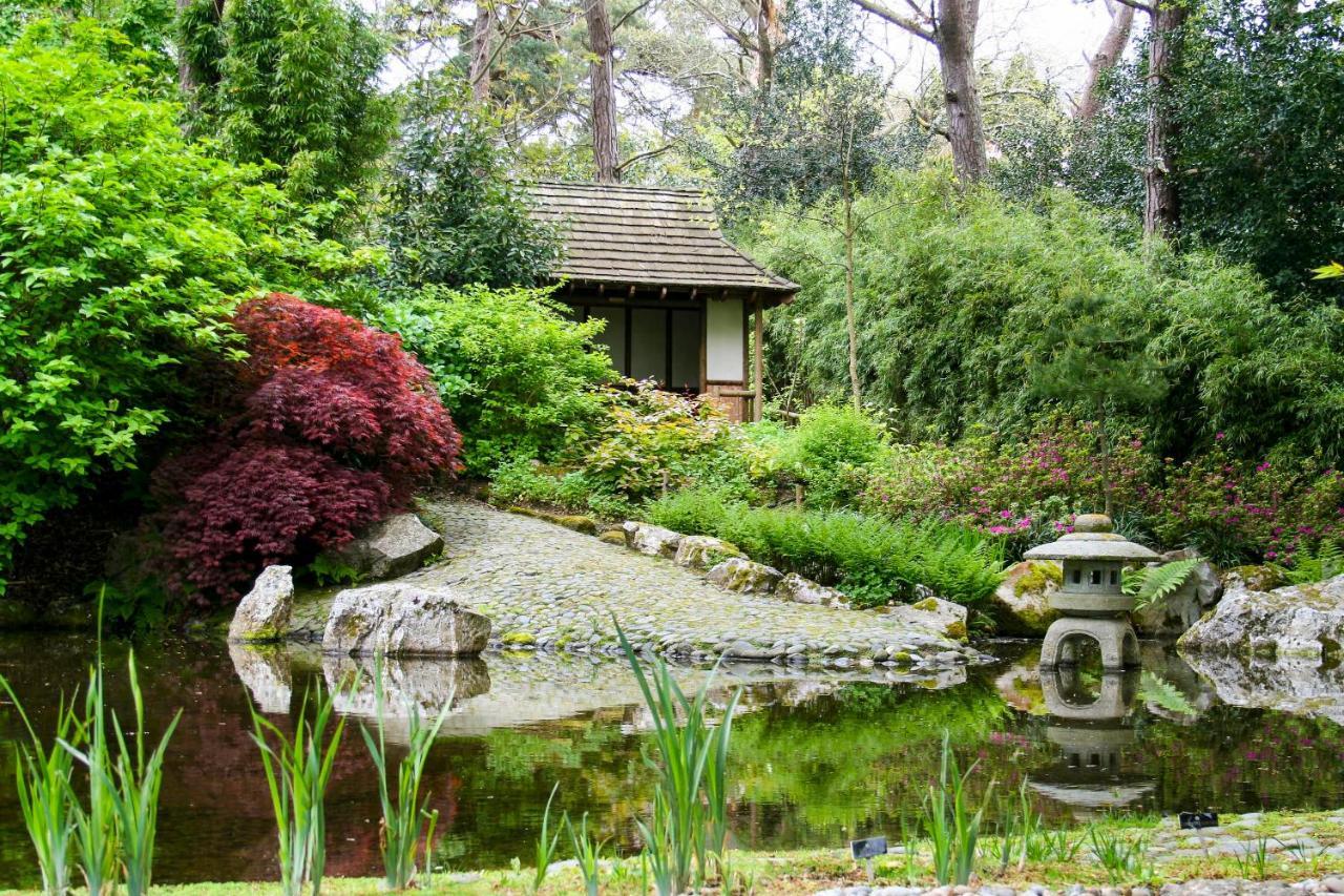 Ferienhaus Pinetum Garden