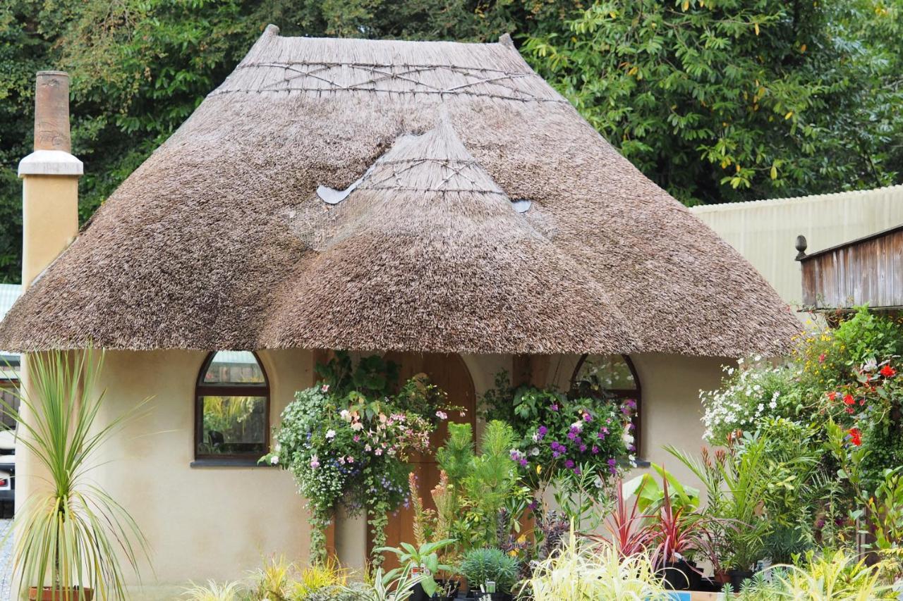 Pinetum Garden St Austell
