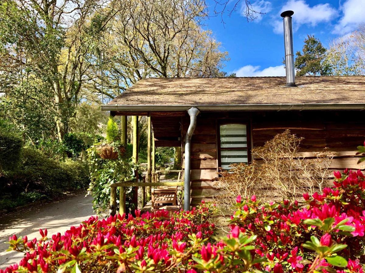 Pinetum Garden * St Austell